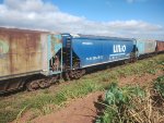 RUMO HTT-845212-1